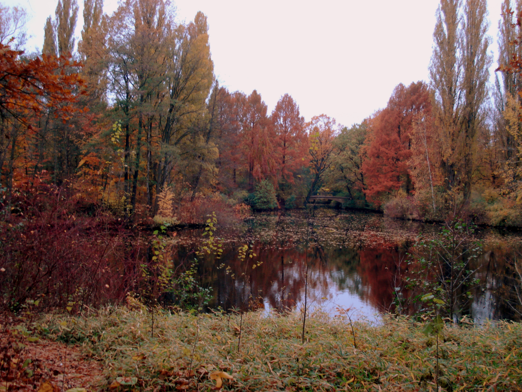 [DSC01737-1.png]