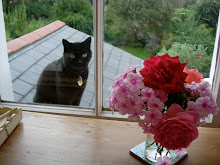 Let me in!
