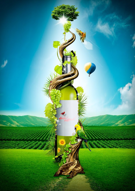 Wine Bottle