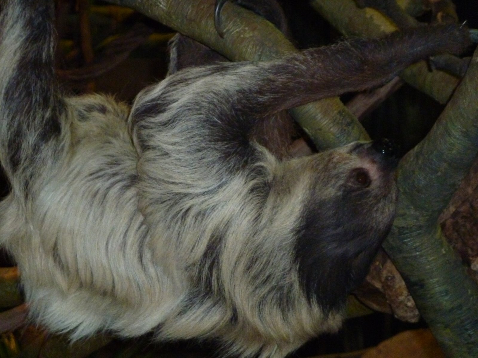 [P1000217.JPG]