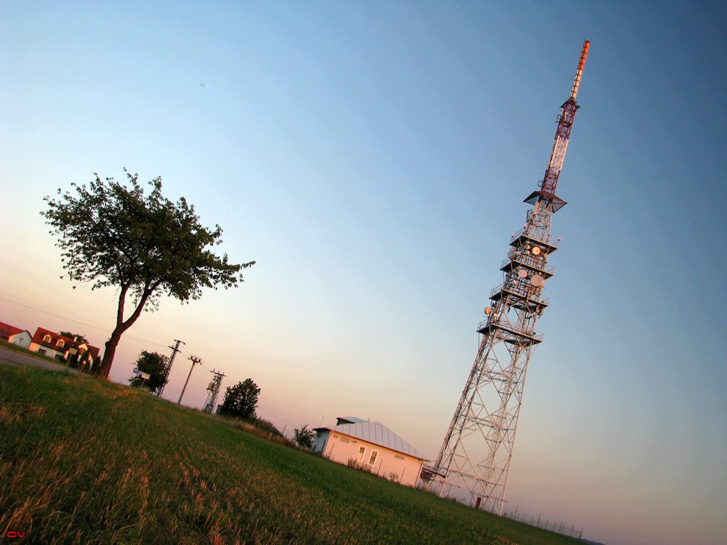 [Evening-28.7.2008-006.jpg]