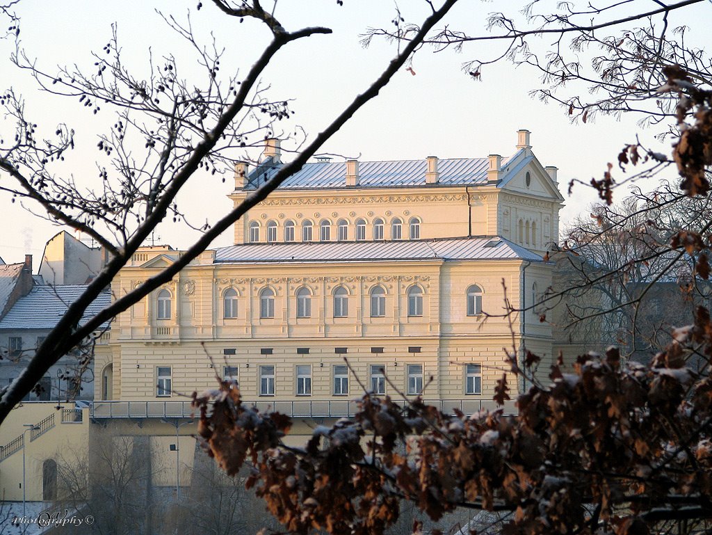 [Tabor-3.1.2009-001.jpg]