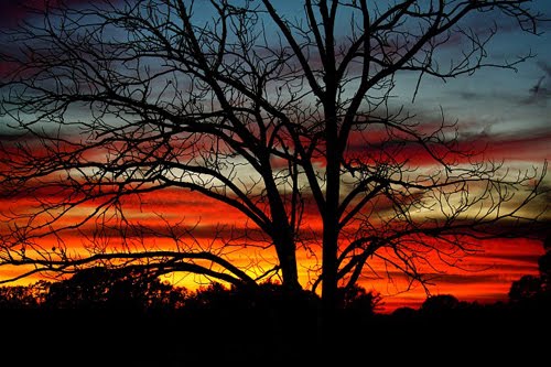 JPG Photo Challenge-Your Backyard JPG Photo Challenge-Your Backyard