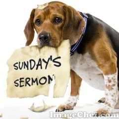 [dog+eating+sermon.jpg]