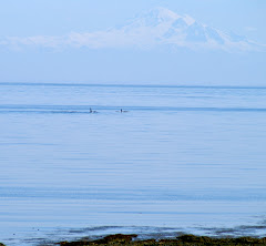 Wildlife in Canada