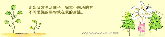 檸檬樹下的LILY