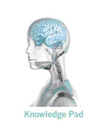 Knowledge Pad