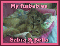 Meet my furbabies