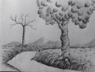 Pencil Work Pictures