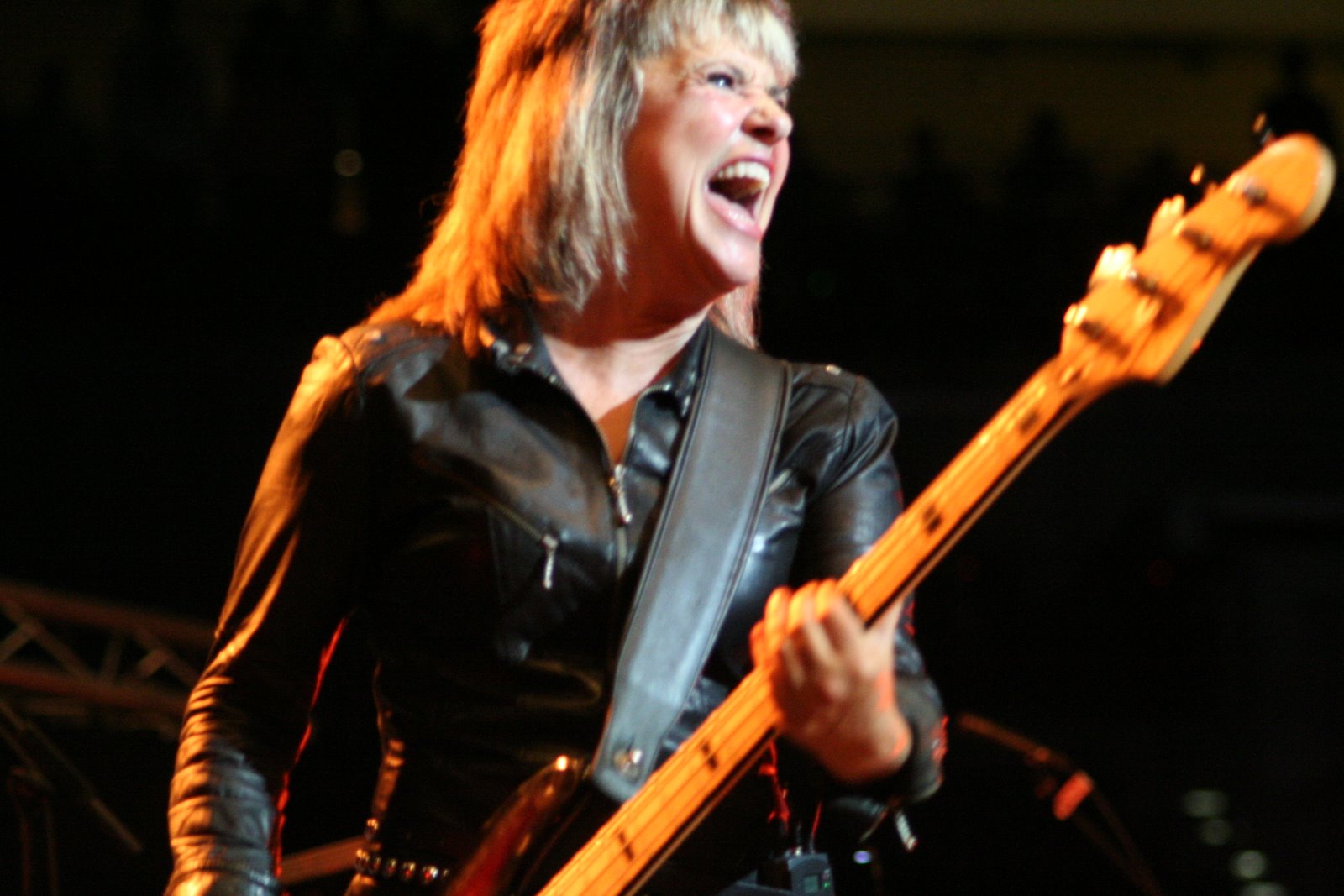 Suzi Quatro - The Wild One / Shake My Sugar Suzi Quatro - The Wild One / Shake My Sugar