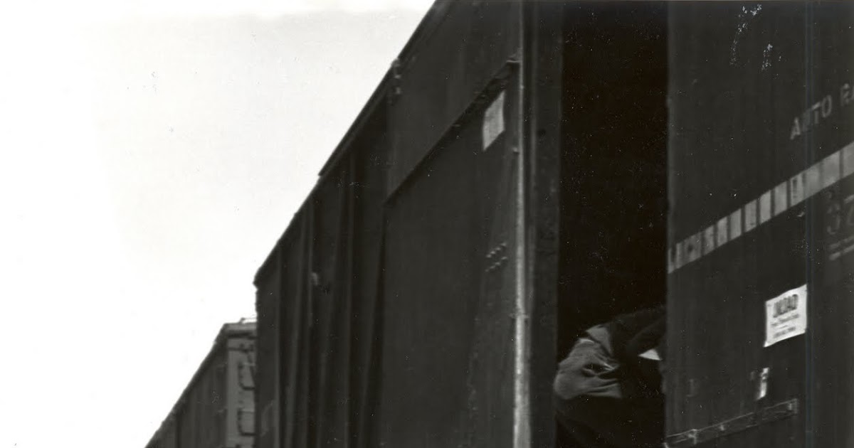 Nativity Camel Best Hobo Names (Courtesy Of John Hodgman)