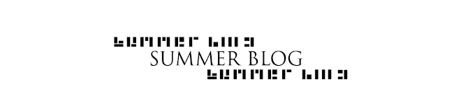 Yr 3 Summer Blog