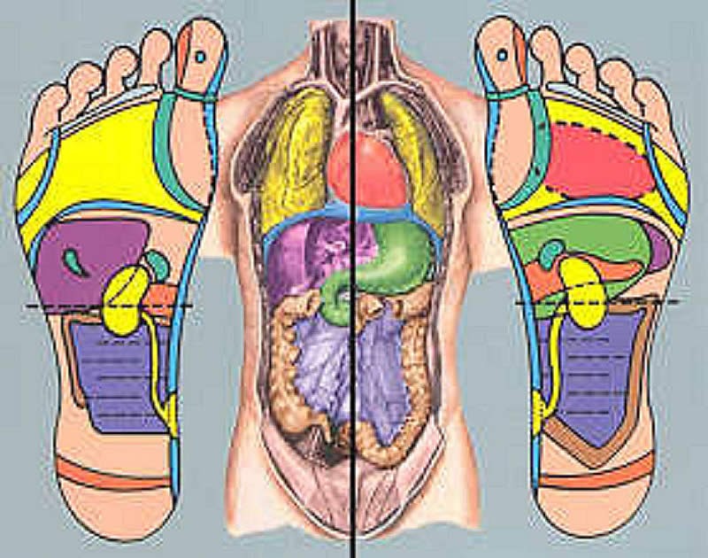 healthologue Reflexology foot chart