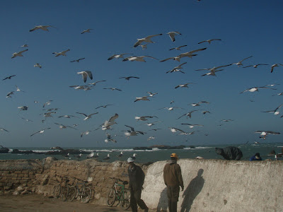 rencontres de la diversité essaouira