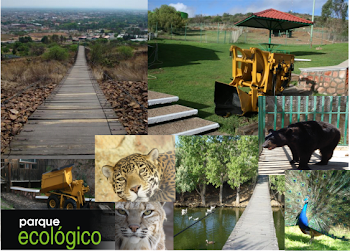 Parque ecologico Los jales Fresnillo Zacatecas