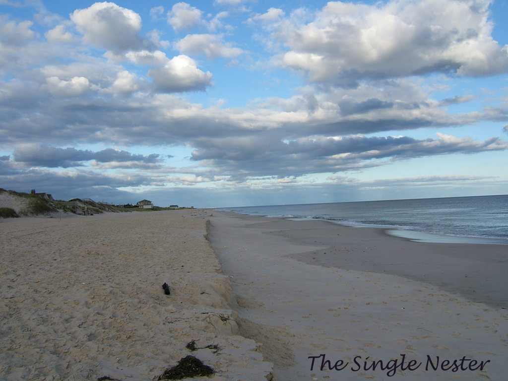The Single Nester