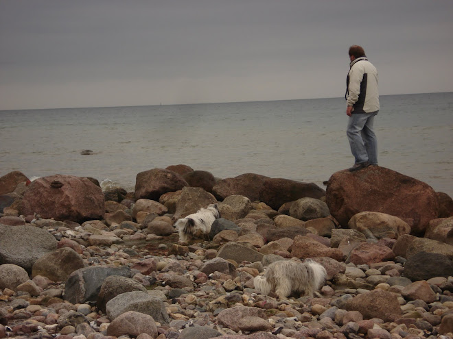 Kleines Pontreffen an der Ostsee