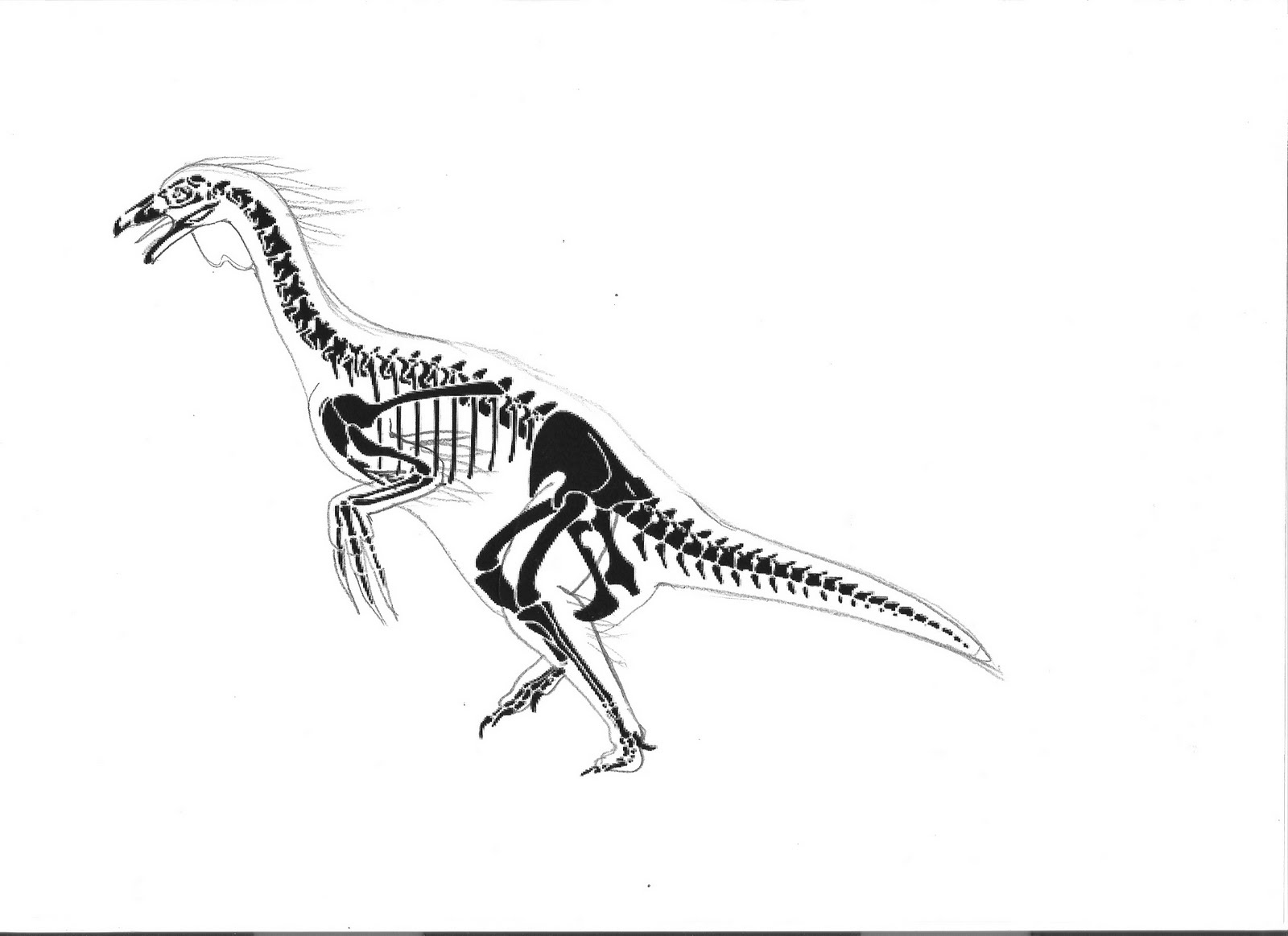 [therizinousaur+skeleton+1.jpg]