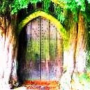 Imagination's Door