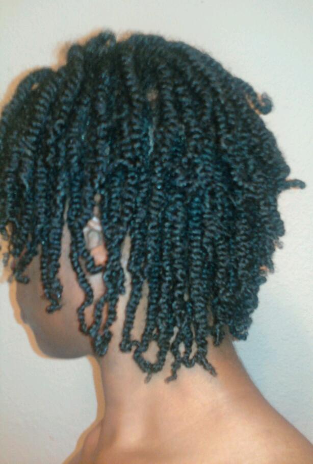 Dawnyele <em>Natural Beauty</em> Journey <em>Small Two Strand Twists</em>