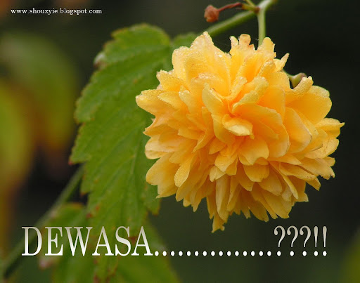 http://4.bp.blogspot.com/_zbvW_4R3KEI/Szw8dzHW_cI/AAAAAAAAAT0/APg5qRChRNw/dewasa.jpg