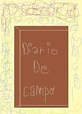 Diario de campo