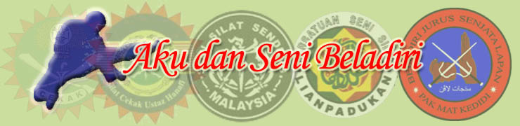 Aku dan Seni Beladiri