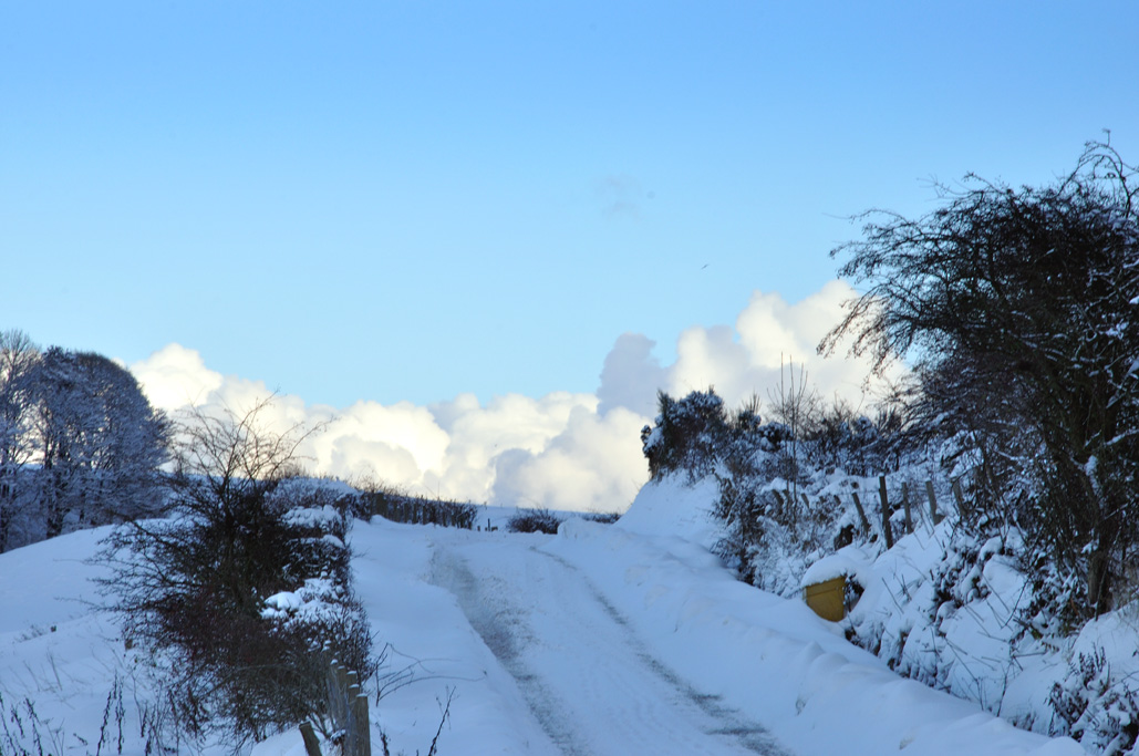 North Fife North Fife Snow December 2010