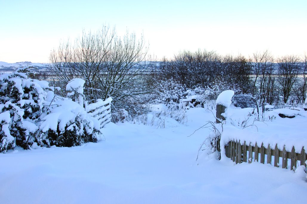North Fife North Fife Snow December 2010