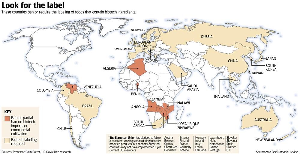world map continents labeled. World Map Countries Labelled. world map continents labeled.