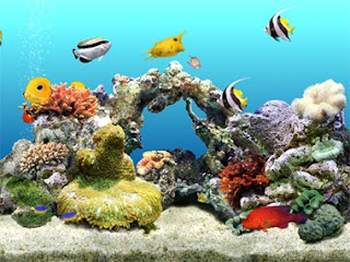 Fondos de pantalla 3D gratis para PC con movimiento - Imagui Fondos de pantalla 3D gratis para PC con movimiento - Imagui