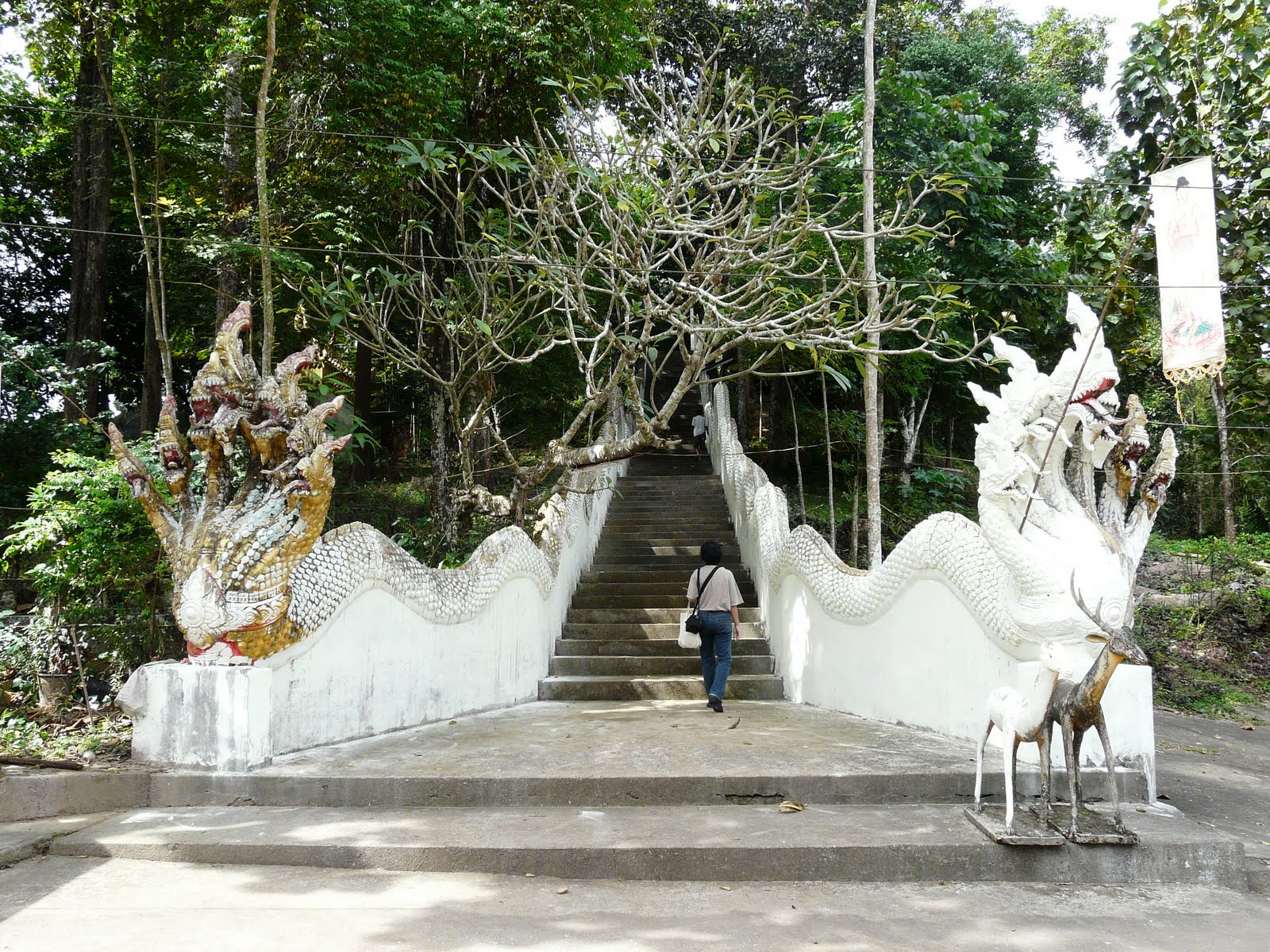 [P1180038.JPG]