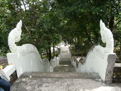 [P1180042_resize.JPG]