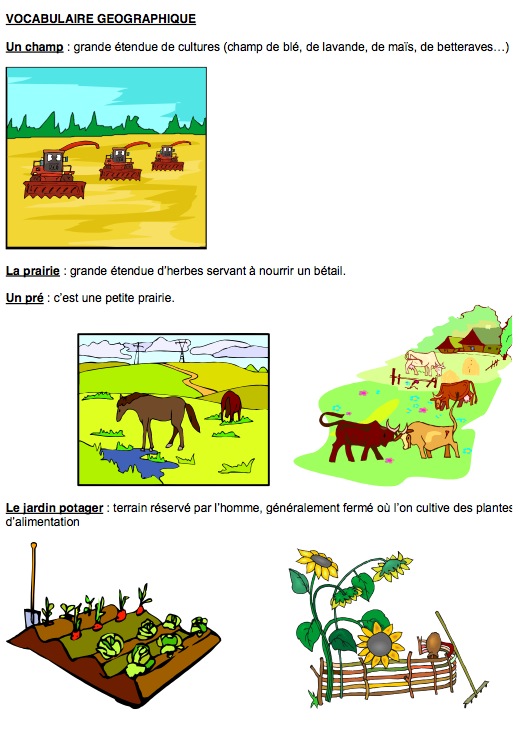 [professeur-phifix.jpg]