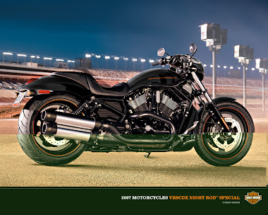 Harley Davidson 100%