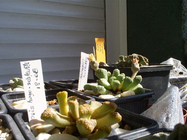 [S5033193.JPG]