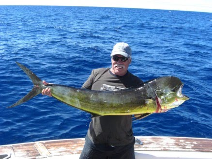 Female Mahi Mahi