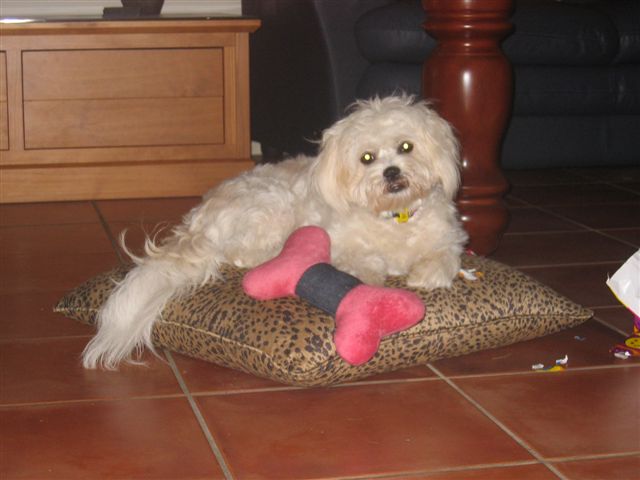 [Dad's_60th_B'day_0001.JPG]