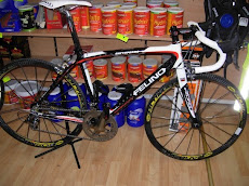 2009 team bike