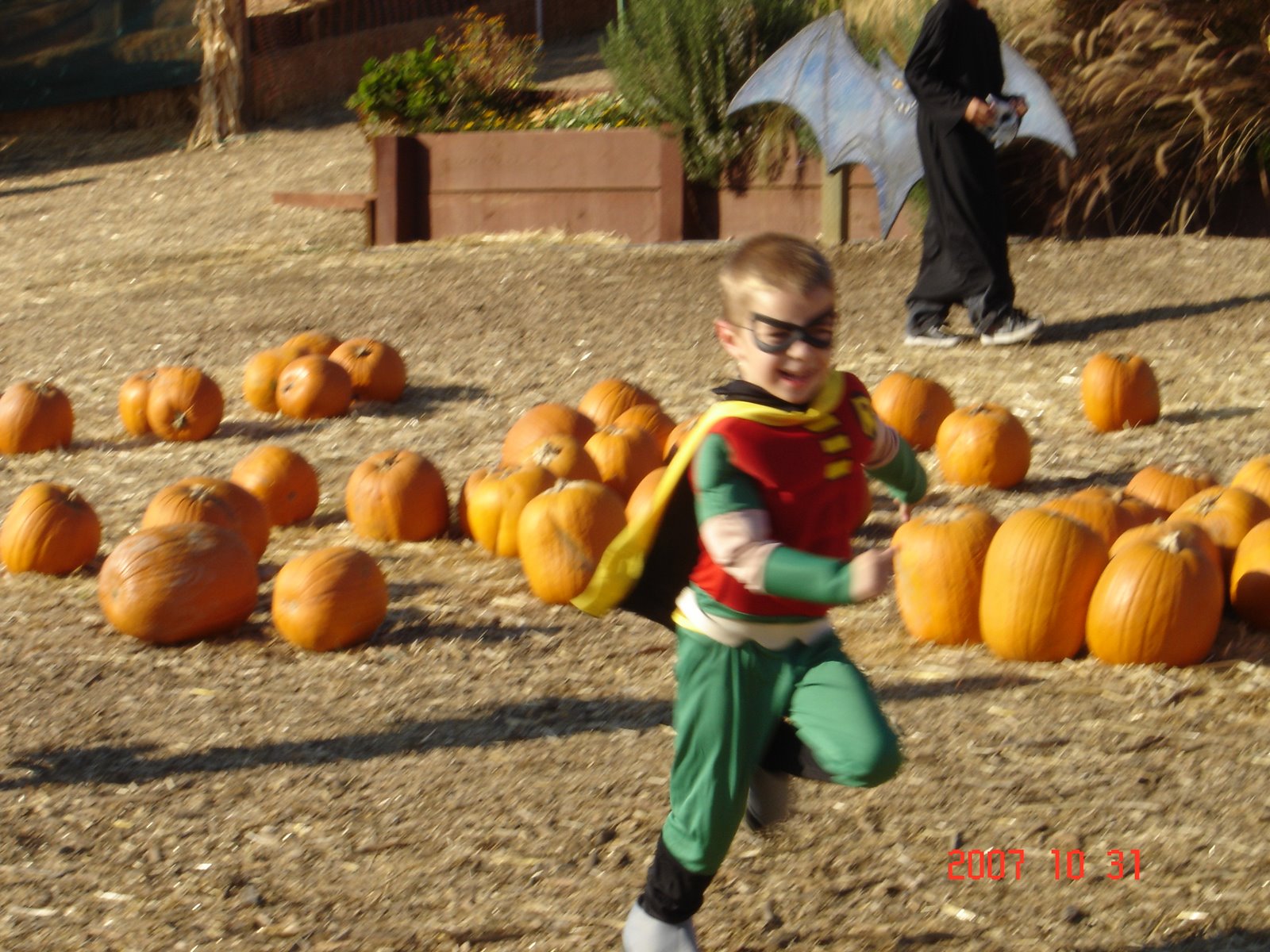 [DSC07681.JPG]
