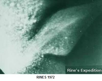 rines+flipper.jpg