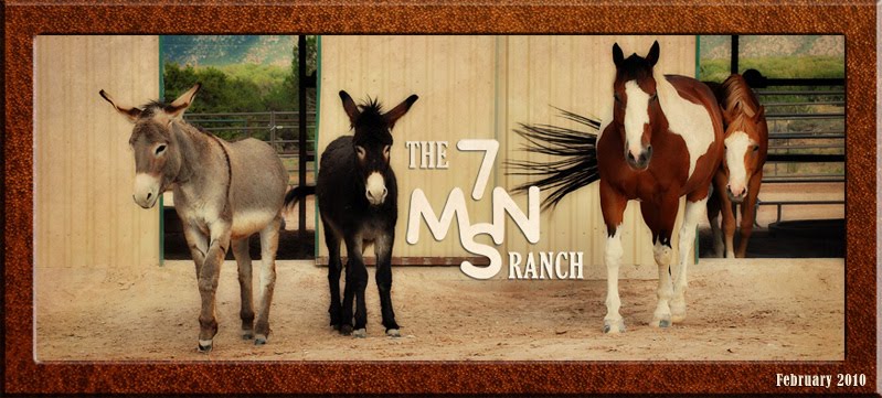 The 7MSN Ranch