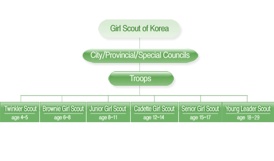 Girl Scout Organization Chart