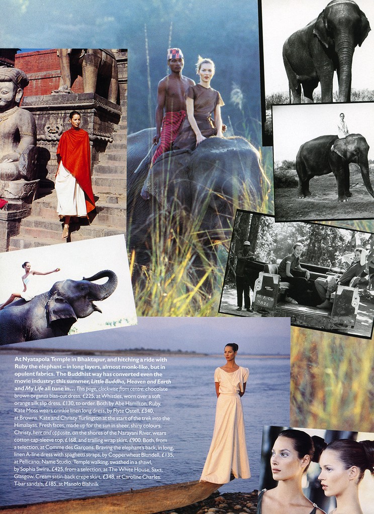 [74091--14959580-.jpg]