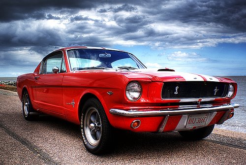 Mustang Muscle