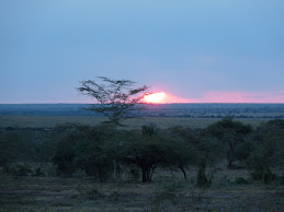 Maasai Mara at sunset