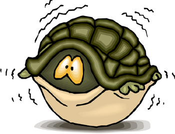 La position de la tortue Turtle+in+shell