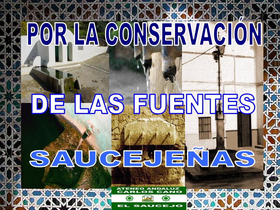 POR LA CONSERVACIÓN DE LAS FUENTES SAUCEJEÑA,.ATEN