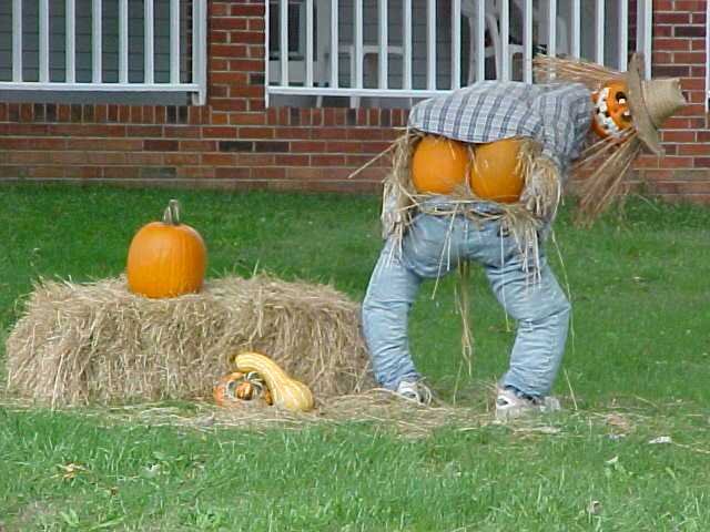[pumpkins.bmp]