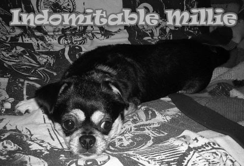Indomitable Millie